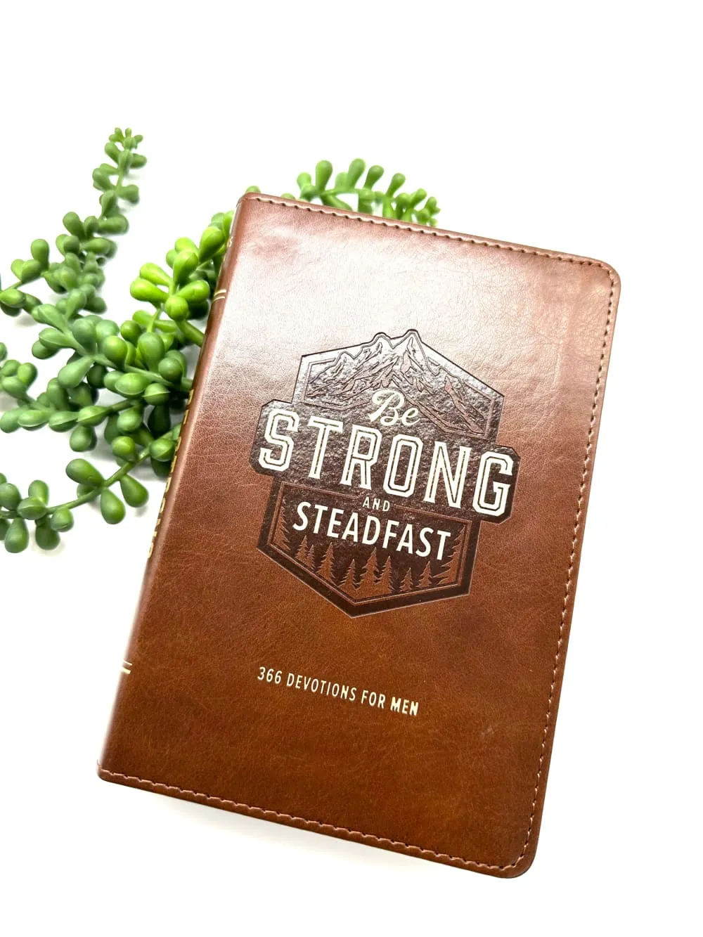 Be Strong and Steadfast Devotional for Men