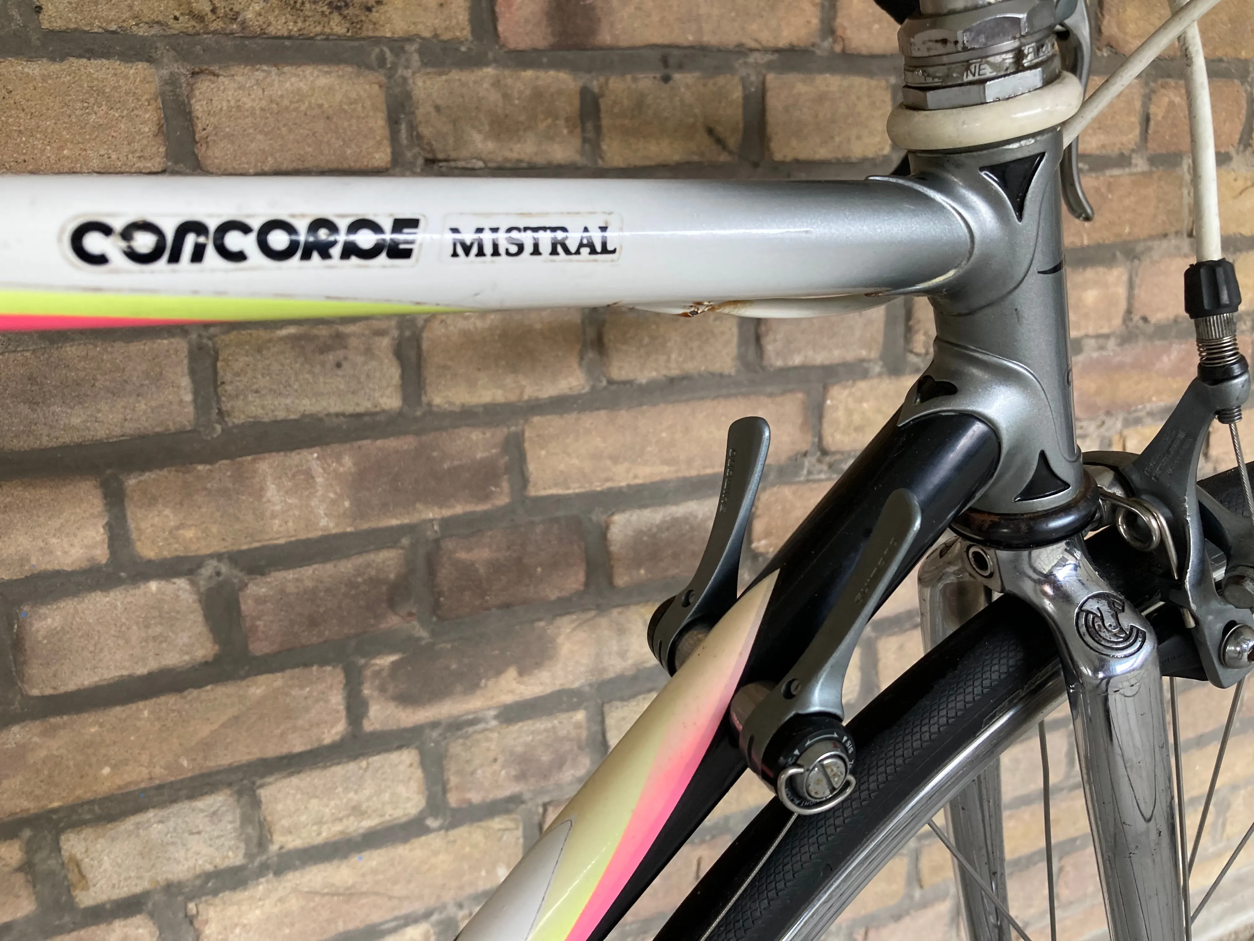 Concorde Mistral 52cm