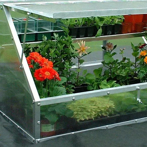 Easy Access Professional Cold Frame