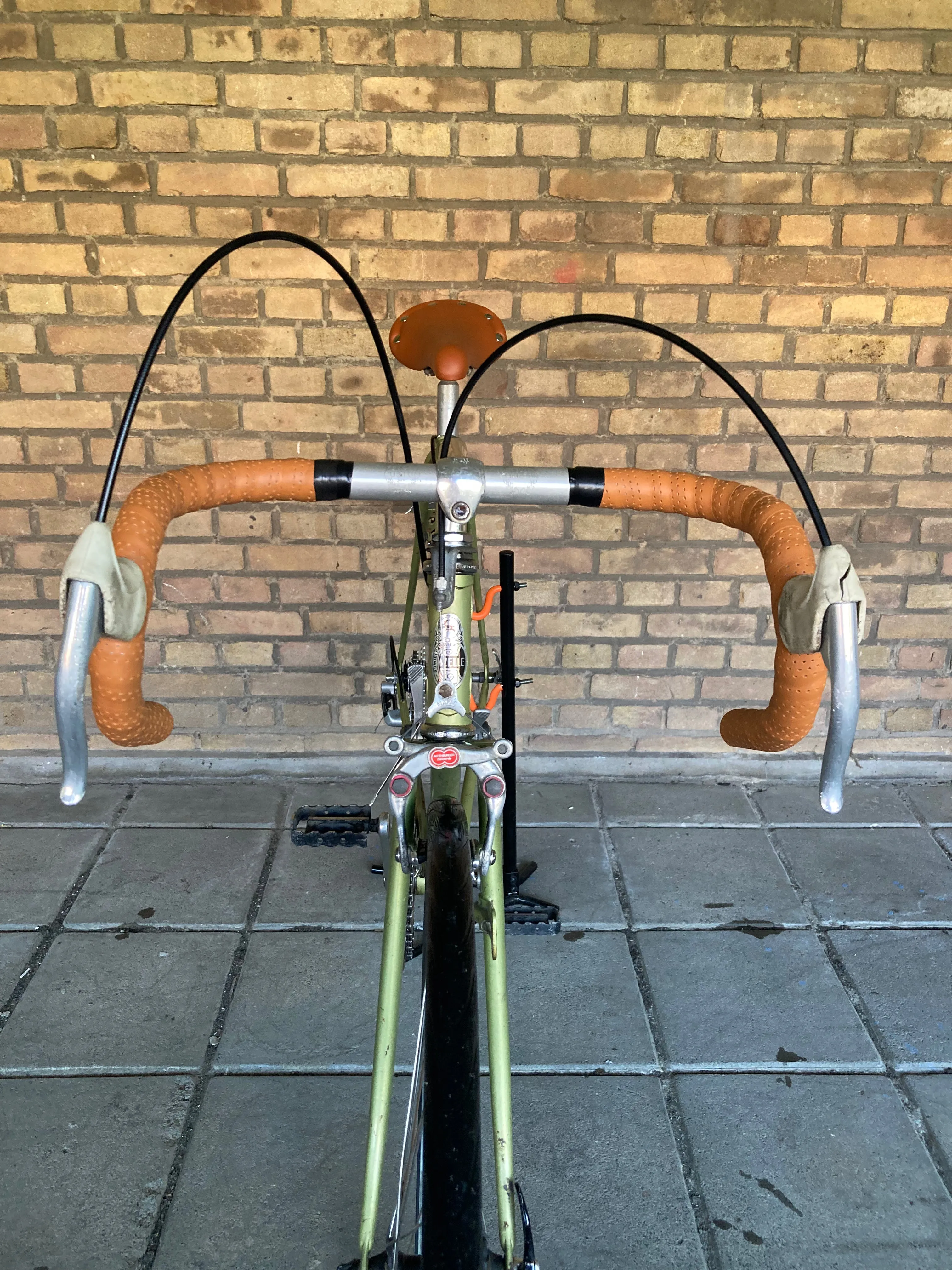 Gazelle Champion Mondial 55cm