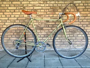 Gazelle Champion Mondial 55cm