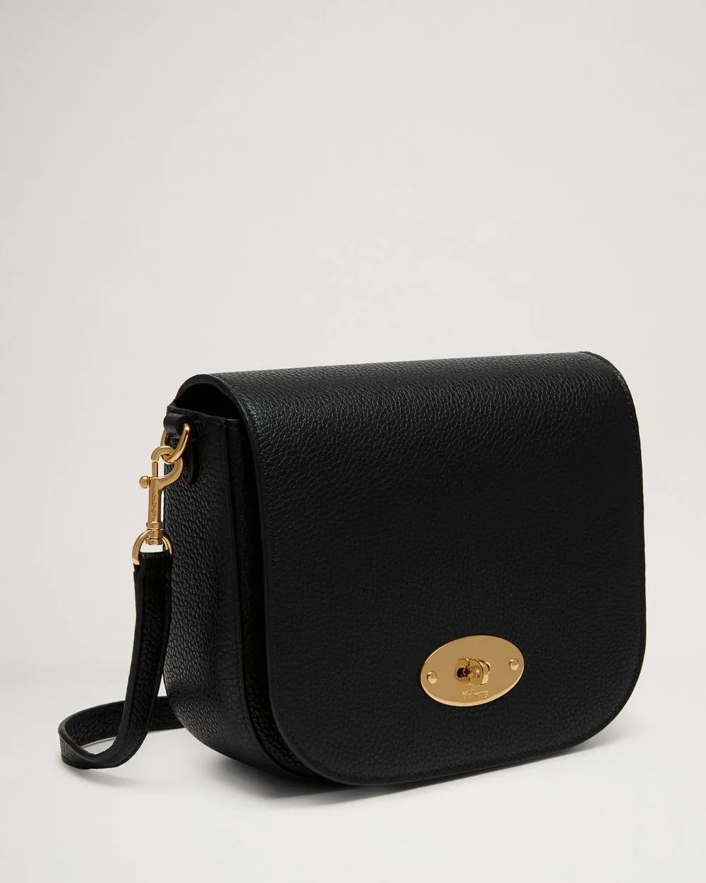 SMALL DARLEY SATCHEL SMALL CLASSIC